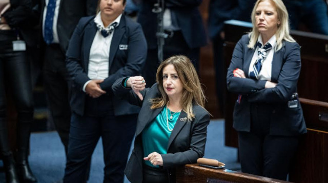 ג'ידא רינאוי זועבי (צילום: יונתן זינדל, פלאש 90)