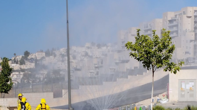 מיאו (צילום: דוברות כב"ה ירושלים)