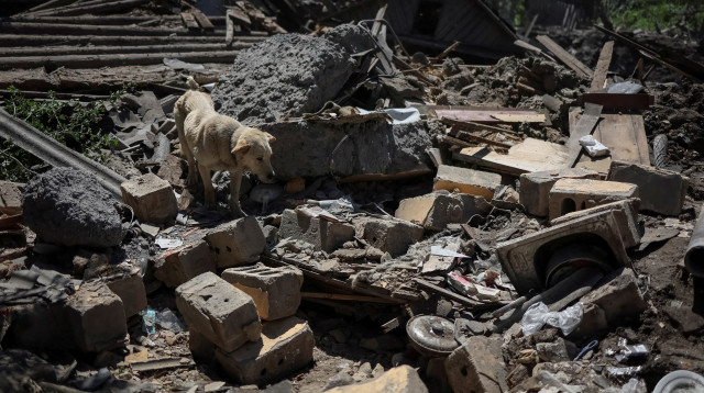 מלחמת רוסיה אוקראינה (צילום: רויטרס)