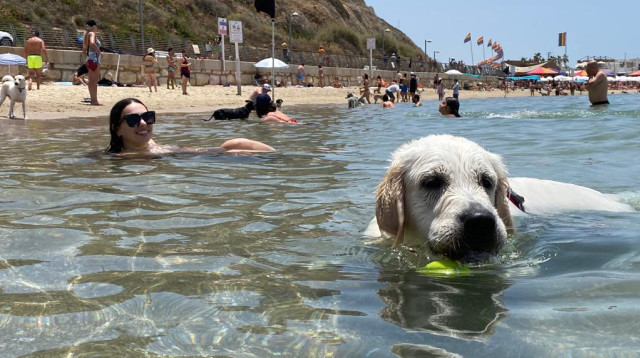 קיץ בתל אביב (צילום: אבשלום ששוני)