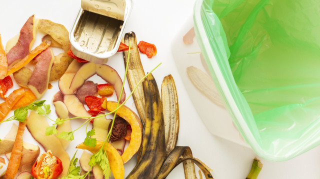 חוקרים מיפן טוענים כי בעתיד חומרי הבניה יהיו עשויים מפסולת מזון (צילום: אינג'אימג')