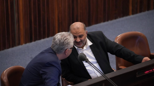 חברי הכנסת מנסור עבאס ואלי אבידר (צילום: דני שם טוב, דוברות הכנסת)