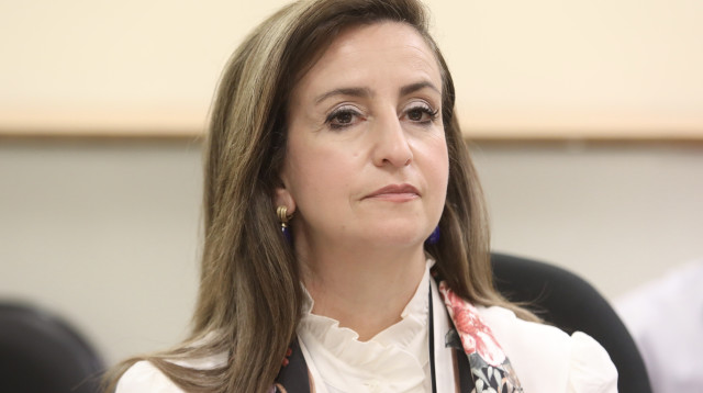 ג'ידא רינאוי זועבי (צילום: מרק ישראל סלם)