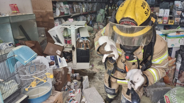 הארנבים מחולצים מחנות החיות שעלתה באש (צילום: דוברות כבאות והצלה, מחוז חוף)