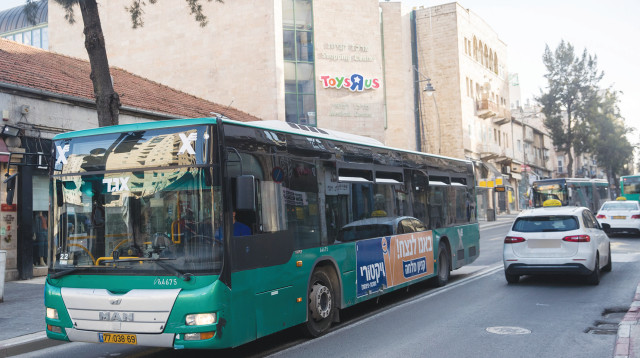 אוטובוסים (צילום: יונתן זינדל)