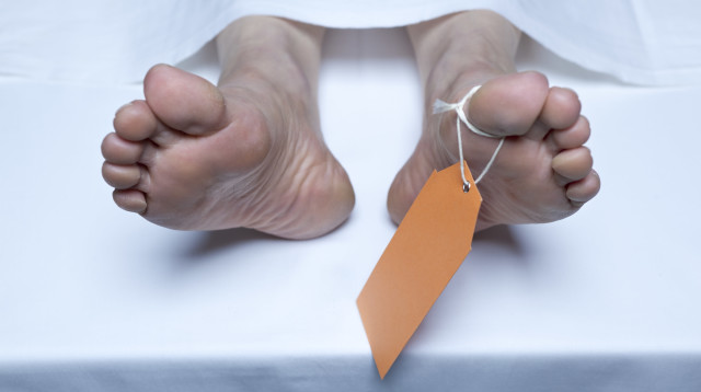 הגופות ישומרו בתא פלדה במינוס 200 מעלות (צילום: אינג'אימג')