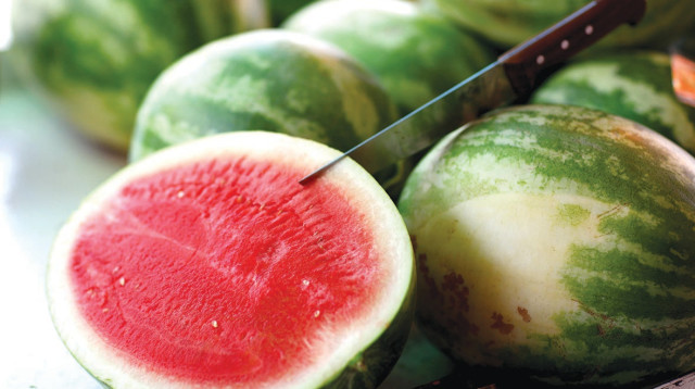 אבטיח (צילום: אביר סולטן, פלאש 90)