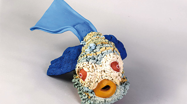 ג'קרנדה קורי (צילום: אילן עמיחי)