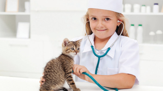 ילד עם חתול (צילום: ארכיון אגודת צער בעלי חיים בישראל)