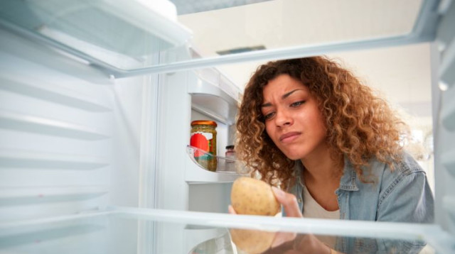 האם מותר לשמור תפוח אדמה במקרר? התשובה של ד"ר מאיה רוזמן (צילום: Shutterstock)