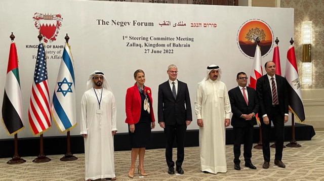 הוועידה בבחריין (צילום: משרד החוץ)