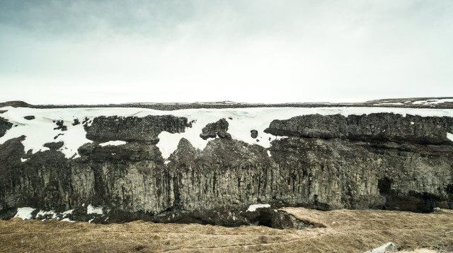 חיה בת 30 אלף שנה מעידן הקרח התגלתה כמעט בשלמותה (צילום: אינג'אימג')