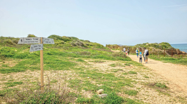 רשות הטבע והגנים - גן לאומי פלמחים (צילום: יוסי אלוני)