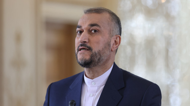 שר החוץ האיראני חוסיין אמיר עבדאללהיאן (צילום: רויטרס)