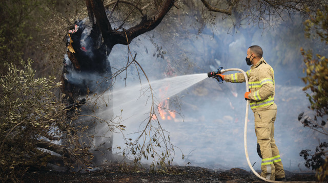 שריפת יער (צילום: דוד כהן פלאש 90 )