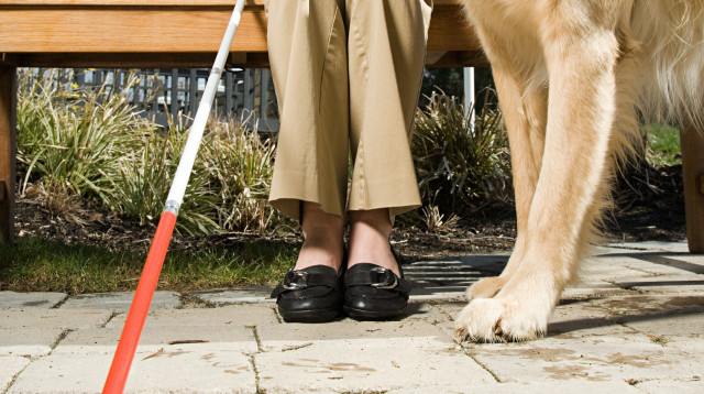 התחזתה לעיוורת במשך 28 שנה (צילום: אינג'אימג')