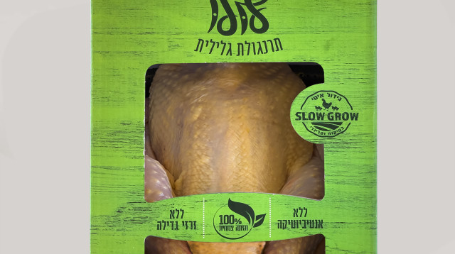 לולו עוף חופש (צילום: יחצ)