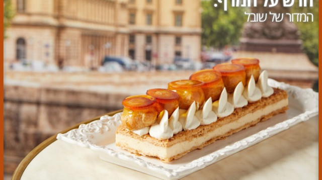 חדש על המדף (צילום: טל סיון)