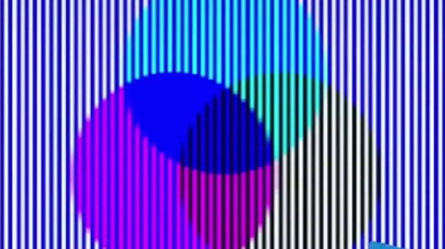 שלושה עיגולים: סגול תכלת וצהוב. האם שמתם לב מה הטעות? (צילום: מתוך טיקטוק)