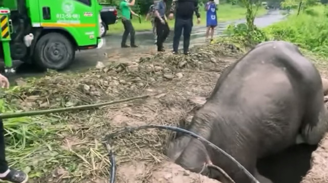 החילוץ לקח כשלוש שעות (צילום: מתוך פייסבוק)
