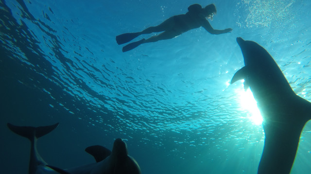 אדוות גל  (צילום: הדס ציון)