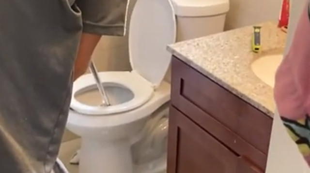 הזוחל נכנס דרך הצנרת והפתיע באסלה (צילום: מתוך יוטיוב)