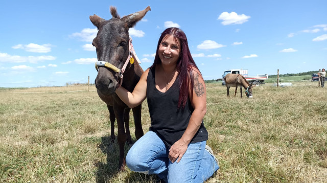 שרון כהן וחמור במקלט (צילום: ליזה אמויאל)