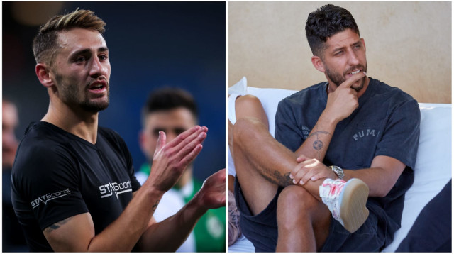 מפוצלת מיכה אצילי (צילום: אתר רשמי, דורון שיינר)