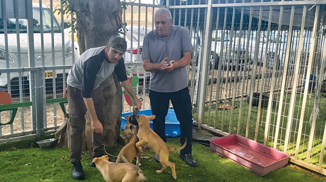 ד”ר רפלוביץ. “הכלביות מלאות עד אפס מקום” (צילום: משה כהן)