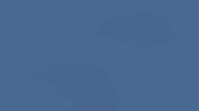 כמה דמויות אתם רואים בתמונה הזו? (צילום: מתוך טיקטוק)