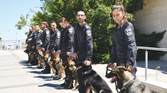 כלבנים (צילום: דוברות המשטרה)