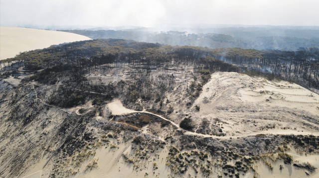 ההצתה בצרפת (צילום: רויטרס)