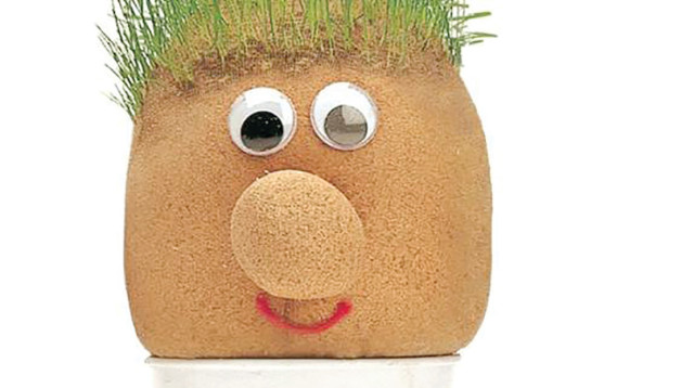 ראש דשא (צילום: lesenfants)