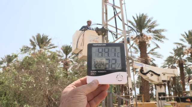 גל חום קיצוני במדבר (צילום: יוסי וייס)