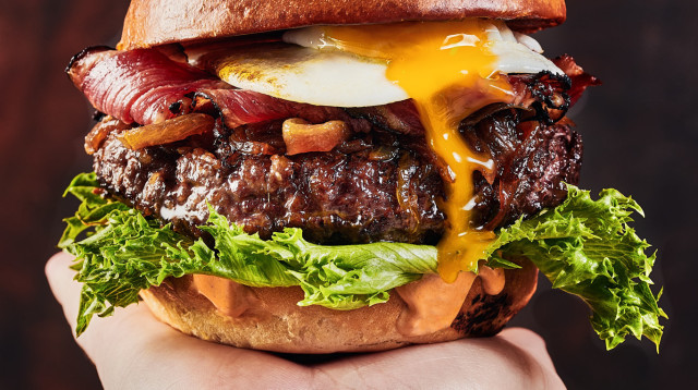 לנדוור (צילום: נועם פריסמן)