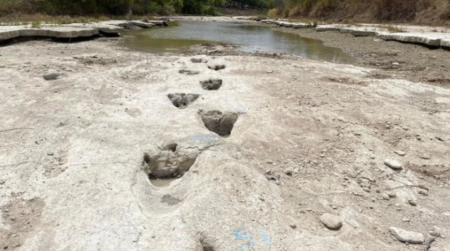 עקבות דינוזאורים בנות מיליוני שנים - מרהיב (צילום: מתוך פייסבוק)