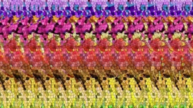 אוטוסטריאוגרמה - מתעתעת במוח שלנו (צילום: מתוך טיקטוק)