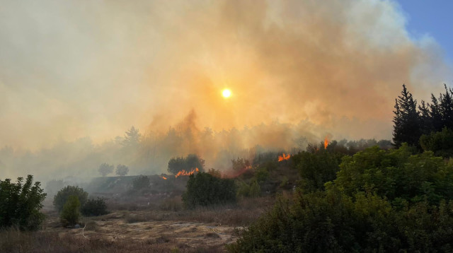 שריפה אחים שריפה (צילום: דוברות כב"ה מחוז ירושלים)