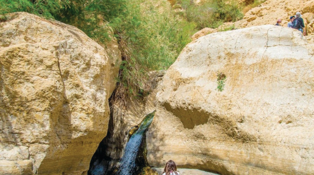 נחל ערוגות, עין גדי (צילום: מנו גרינשפן)