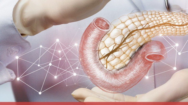 סיכויי החלמה מסרטן הלבלב (צילום: בריל דיזיין)