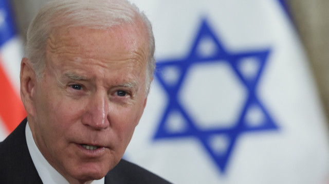 ג'ו ביידן (צילום:  REUTERS/Evelyn Hockstein)