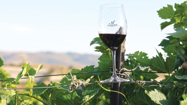 פסטיבל היין בזכרון יעקב (צילום: יקב אביבים)