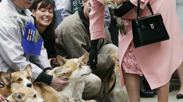 המלכה אליזבת השנייה לצד כלבי קורגי (צילום: REUTERS/Andy Clark AC)