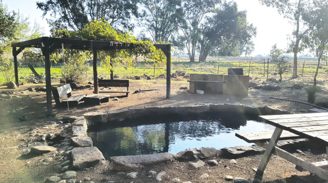 עין ידידיה (צילום: תיירות גולן)