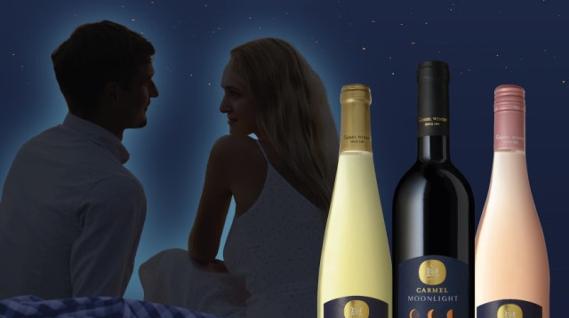 ספידייט מונלייט (צילום: יח"צ)