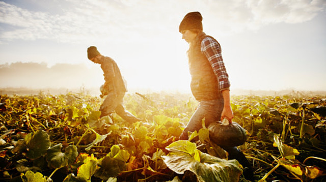 עסקאות מתנה נוגדות במקרקעין – איזו עסקה גוברת? (צילום:  Thomas Barwick gettyimages)