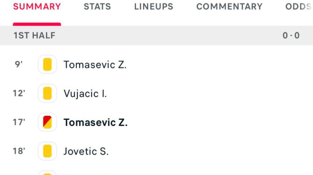 מונטנגרו נגד פינלנד (צילום: צילום מסך, .)