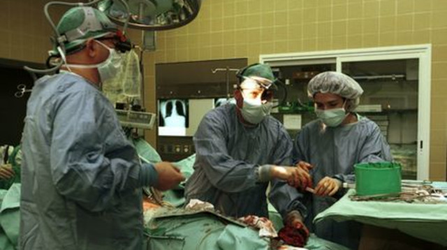 השתלת לב (צילום: פלאש 90)