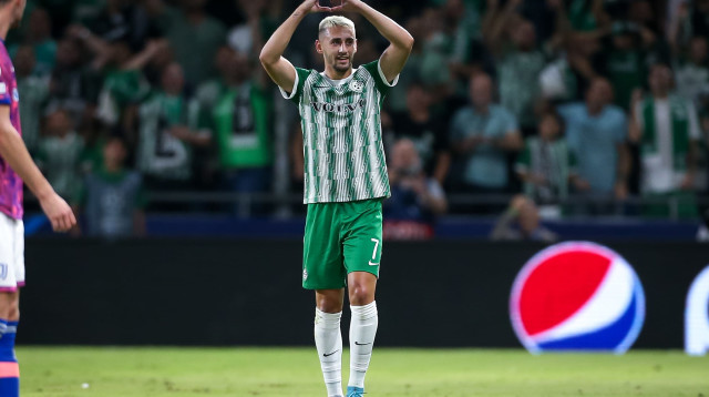 איזו הצגה. אצילי (צילום: מאור אלקסלסי)