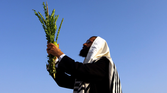 ארבעת המינים (צילום: אביר סולטן, פלאש 90)